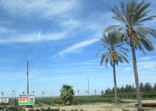 The Great Central Valley